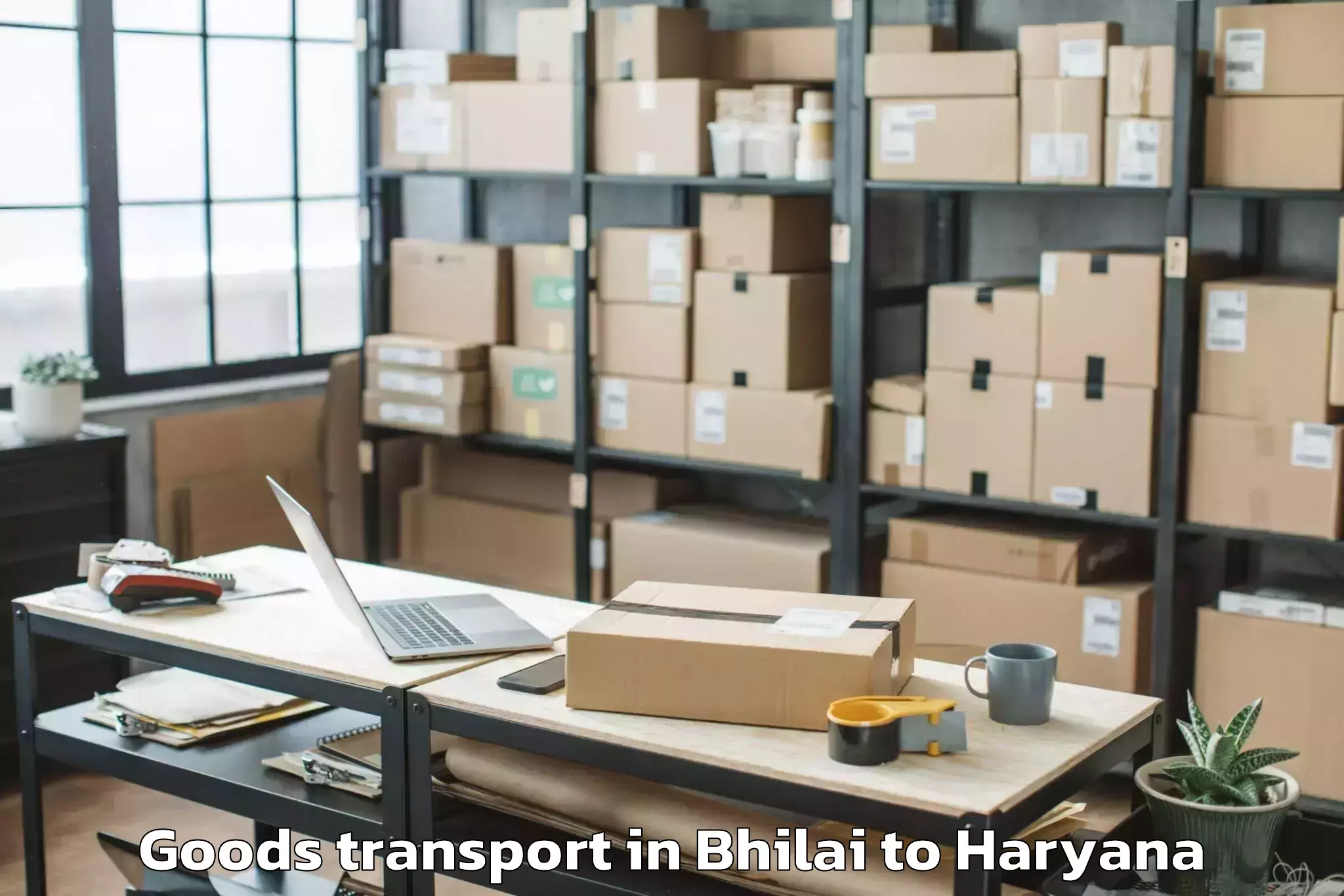 Book Your Bhilai to Gurugram Goods Transport Today